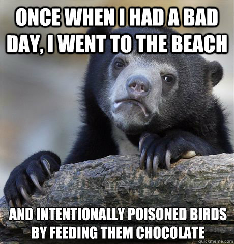 Once when I had a bad day, I went to the beach   And intentionally poisoned birds by feeding them chocolate  Confession Bear