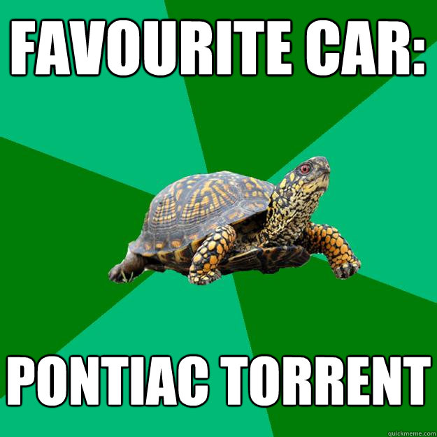 Favourite Car: Pontiac Torrent  Torrenting Turtle