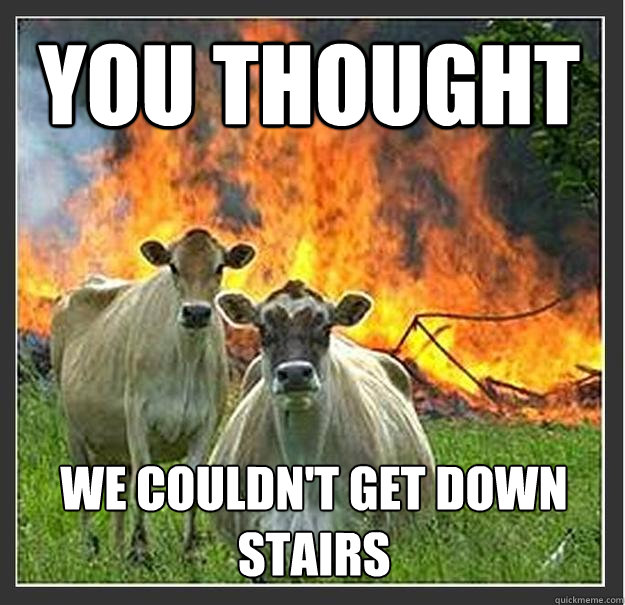 You thought we couldn't get down stairs  Evil cows