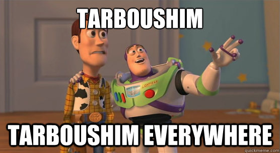 tarboushim tarboushim EVERYWHERE  Toy Story Everywhere