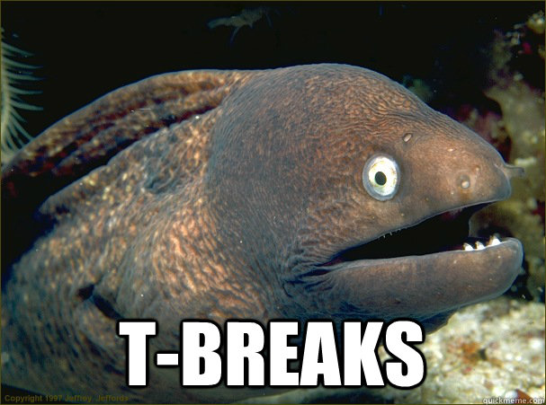  T-Breaks  Bad Joke Eel