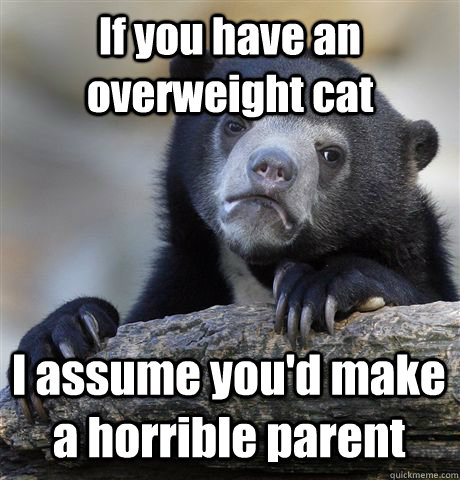 If you have an overweight cat I assume you'd make a horrible parent  Confession Bear