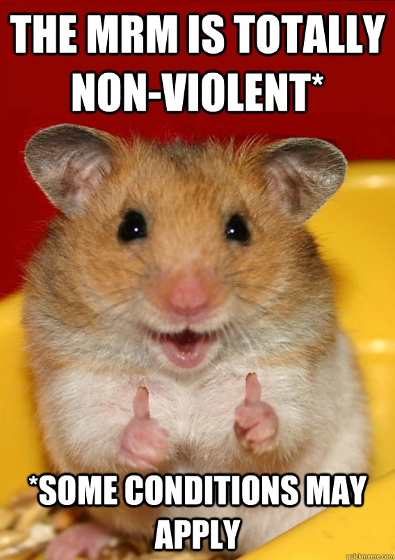 the mrm is totally non-violent* *some conditions may apply   Rationalization Hamster