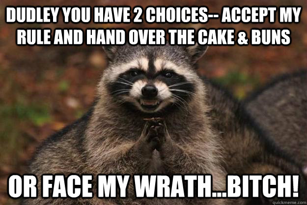 Dudley you have 2 choices-- accept my rule and hand over the cake & buns or face my wrath...bitch!  Evil Plotting Raccoon