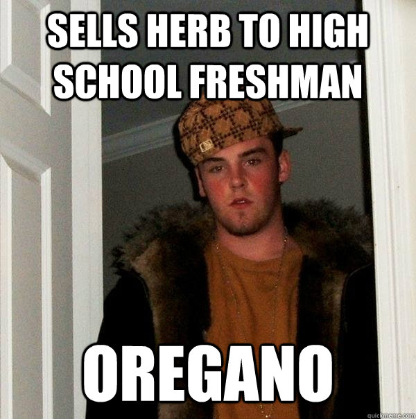 Sells herb to high school freshman Oregano  Scumbag Steve