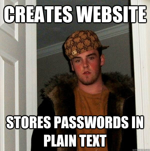 creates website stores passwords in plain text - creates website stores passwords in plain text  Scumbag Steve