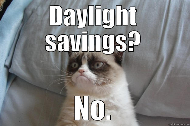 Daylight savings time - DAYLIGHT SAVINGS? NO. Grumpy Cat