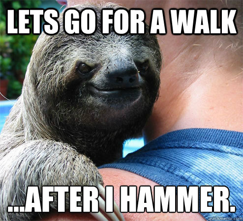 lets go for a walk ...after i hammer.
  Suspiciously Evil Sloth