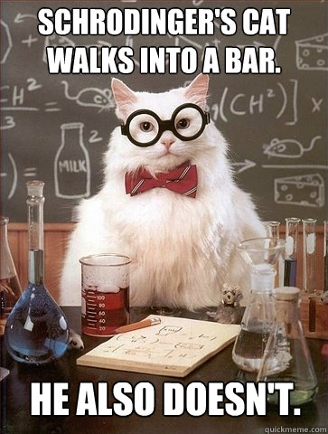 Schrodinger's cat walks into a bar. He also doesn't.  Chemistry Cat