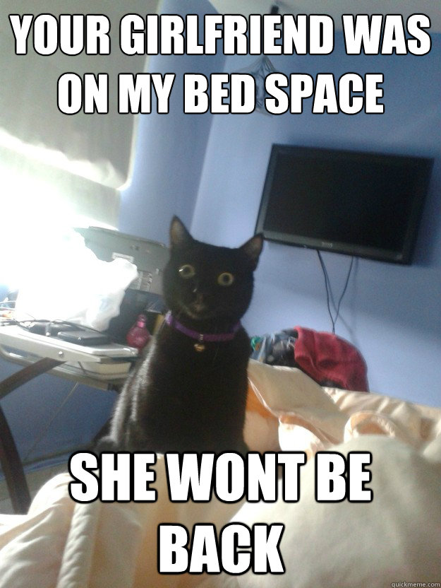 your girlfriend was on my bed space she wont be back  overly attached cat