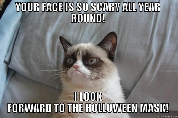 HOLLOWEEN AGAIN MEH! - YOUR FACE IS SO SCARY ALL YEAR ROUND! I LOOK FORWARD TO THE HOLLOWEEN MASK! Grumpy Cat