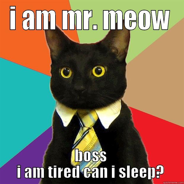 Meow its working in New York - I AM MR. MEOW BOSS I AM TIRED CAN I SLEEP? Business Cat