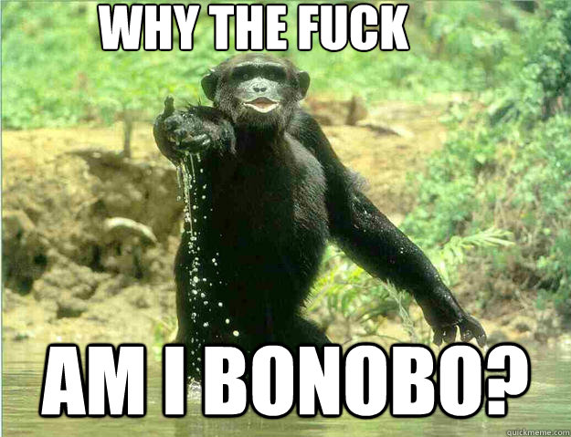 Why The Fuck Am I Bonobo? - Why The Fuck Am I Bonobo?  Captain Bonobo