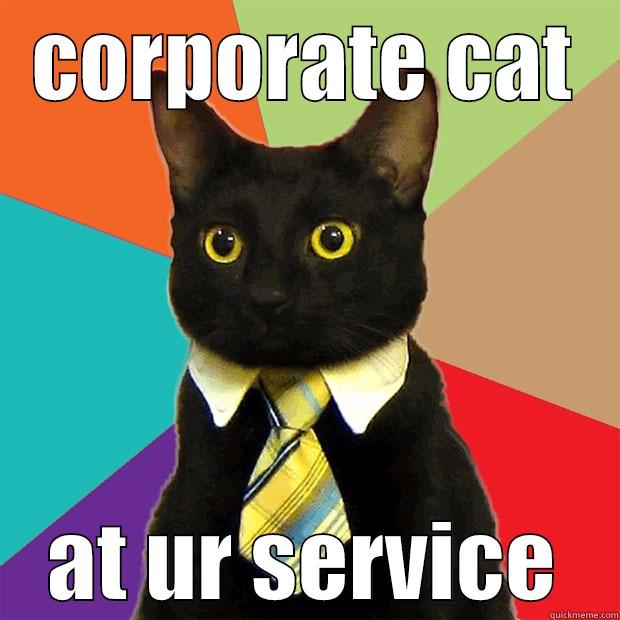 CORPORATE CAT AT UR SERVICE Business Cat