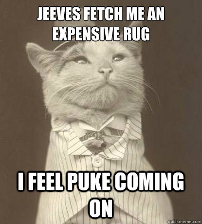 jeeves fetch me an expensive rug i feel puke coming on  Aristocat