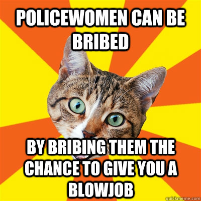 policewomen can be bribed by bribing them the chance to give you a blowjob  Bad Advice Cat