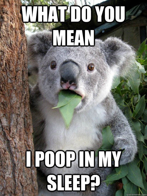 What do you mean I poop in my sleep?  Surprised Koala