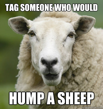 Tag someone who would Hump a sheep - Tag someone who would Hump a sheep  Misc