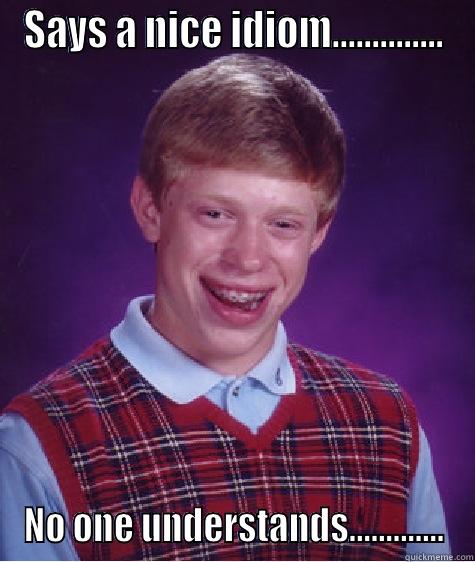 idiom's problems - SAYS A NICE IDIOM.............. NO ONE UNDERSTANDS............. Bad Luck Brian