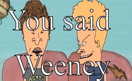 Beavis & butthead - YOU SAID  WEENEY Misc