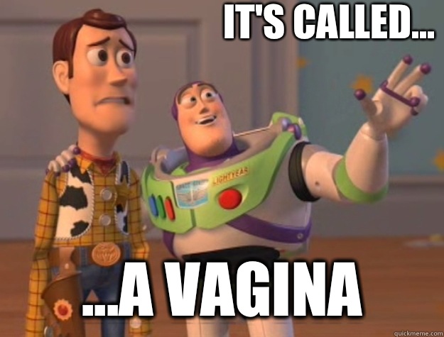 It's called... ...a vagina  Toy Story