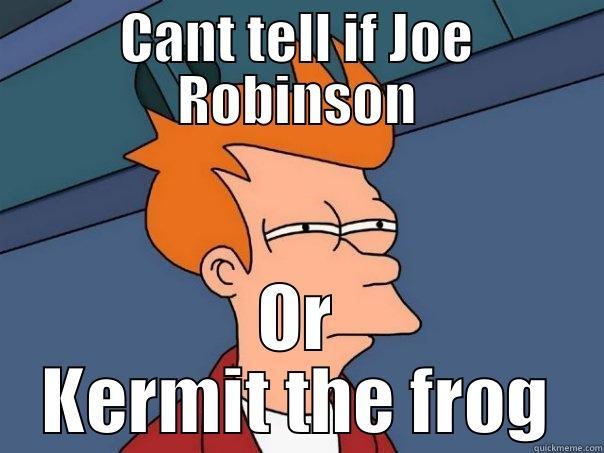 CANT TELL IF JOE ROBINSON OR KERMIT THE FROG Futurama Fry