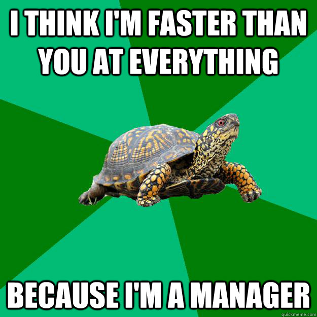 I think I'm faster than you at everything Because I'm a manager - I think I'm faster than you at everything Because I'm a manager  Torrenting Turtle