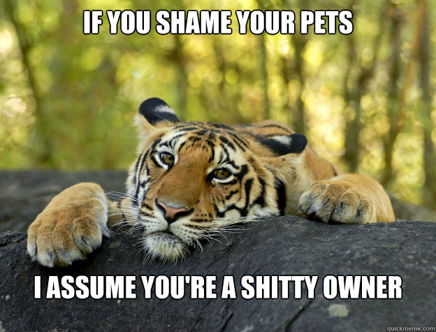 if you shame your pets i assume you're a shitty owner  Confession Tiger