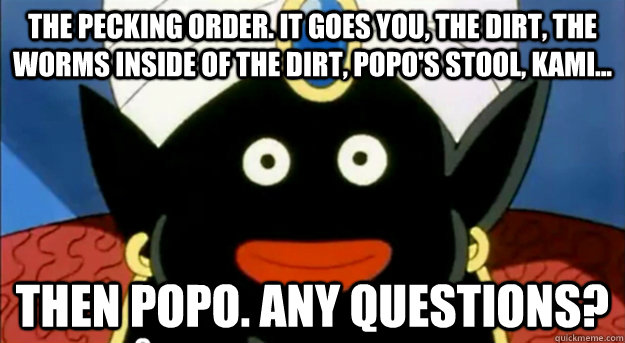 The pecking order. It goes you, the dirt, the worms inside of the dirt, Popo's stool, Kami... Then Popo. Any questions? - The pecking order. It goes you, the dirt, the worms inside of the dirt, Popo's stool, Kami... Then Popo. Any questions?  Mr. Popo