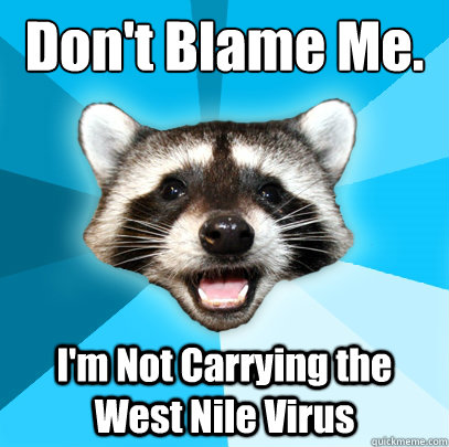 Don't Blame Me. I dont I'm Not Carrying the West Nile Virus  Lame Pun Coon