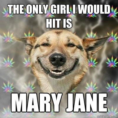 The only girl I would hit is mary jane  Stoner Dog