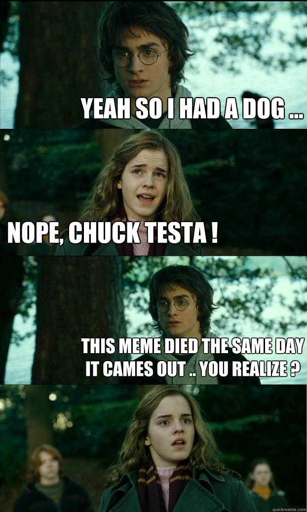 Yeah so I had a dog ... Nope, Chuck Testa ! This meme died the same day it cames out .. You realize ?  Horny Harry