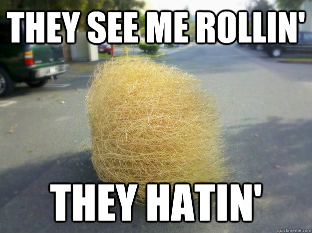 THEY SEE ME ROLLIN' THEY HATIN'  Tumbleweed Roll