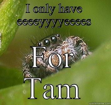 I ONLY HAVE EEEEYYYYEEEES FOR TAM Misunderstood Spider