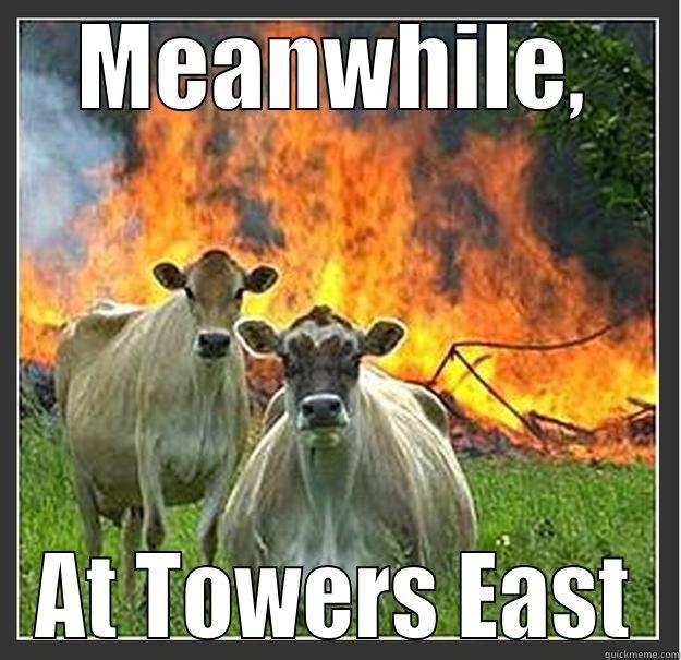 Student Security - MEANWHILE, AT TOWERS EAST Evil cows