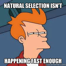 natural selection isn't happening fast enough  Futurama Fry