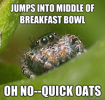 Jumps into middle of Breakfast bowl OH NO--quick oats  Misunderstood Spider