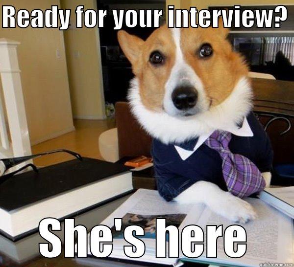 READY FOR YOUR INTERVIEW?  SHE'S HERE Lawyer Dog