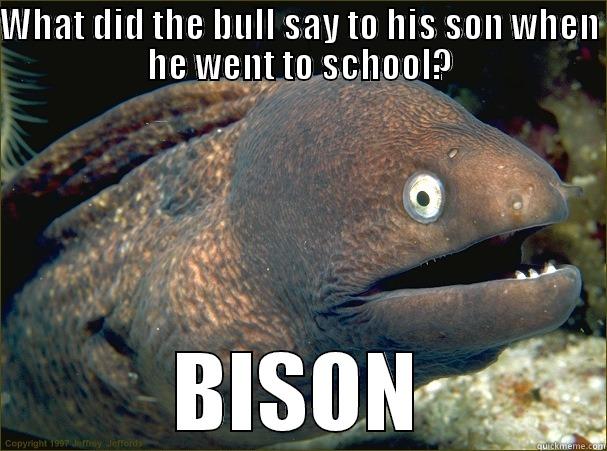 WHAT DID THE BULL SAY TO HIS SON WHEN HE WENT TO SCHOOL? BISON Bad Joke Eel