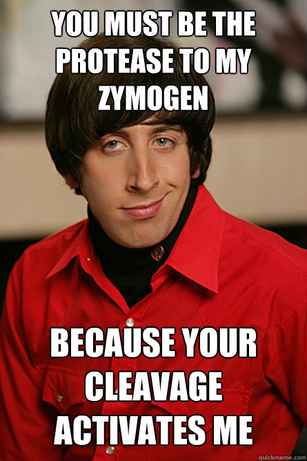 You must be the protease to my zymogen because your cleavage activates me  Pickup Line Scientist