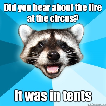 Did you hear about the fire at the circus? It was in tents  Lame Pun Coon