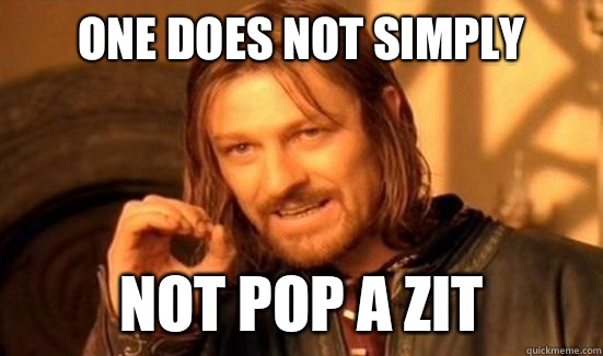 One Does Not Simply Not pop a zit - One Does Not Simply Not pop a zit  Boromir