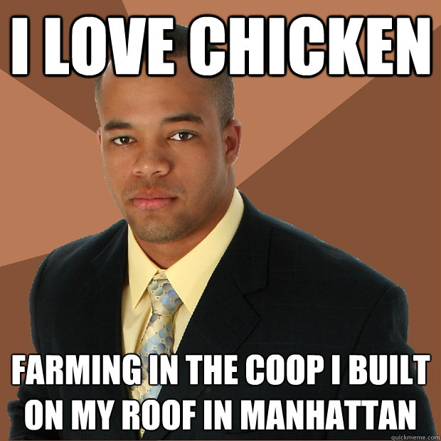 i love chicken farming in the coop i built on my roof in manhattan  Successful Black Man