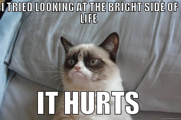 I TRIED LOOKING AT THE BRIGHT SIDE OF LIFE  IT HURTS Grumpy Cat