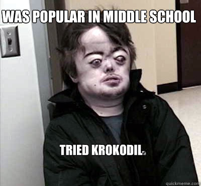 WAS POPULAR IN MIDDLE SCHOOL TRIED KROKODIL  Brian Peppers