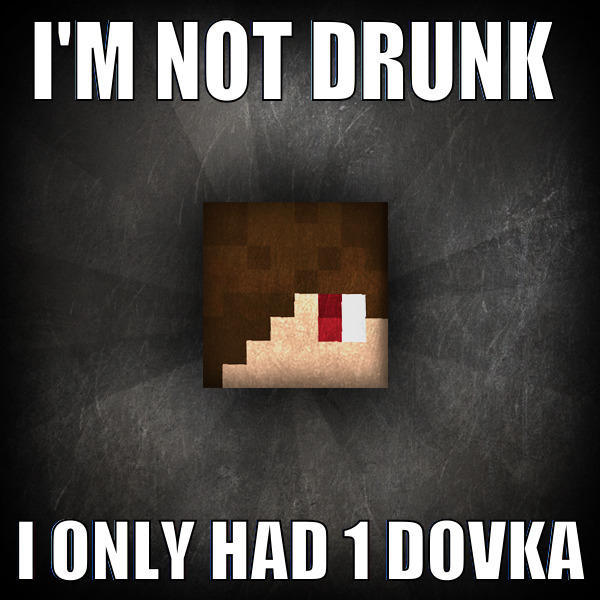 I'M NOT DRUNK   I ONLY HAD 1 DOVKA Misc