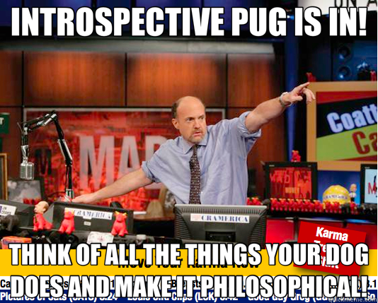 INTROSPECTIVE PUG IS IN! THINK OF ALL THE THINGS YOUR DOG DOES AND MAKE IT PHILOSOPHICAL! - INTROSPECTIVE PUG IS IN! THINK OF ALL THE THINGS YOUR DOG DOES AND MAKE IT PHILOSOPHICAL!  Mad Karma with Jim Cramer