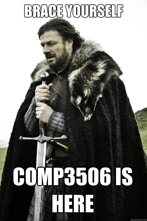 BRACE YOURSELF COMP3506 IS HERE  Winter is coming