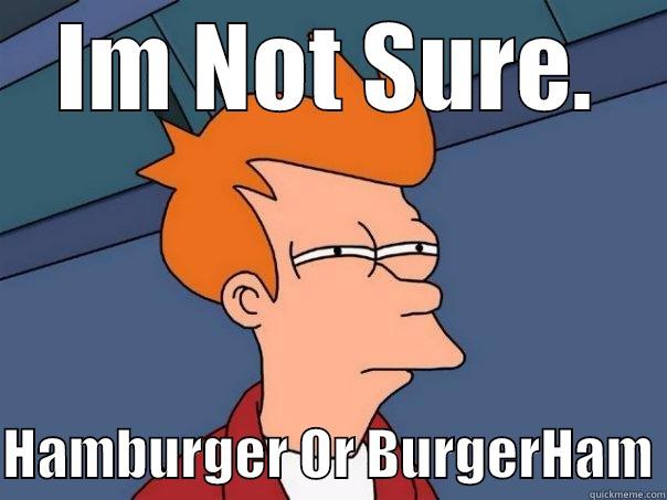 IM NOT SURE.  HAMBURGER OR BURGERHAM Futurama Fry