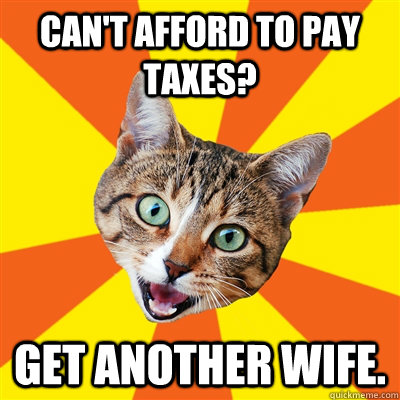 Can't afford to pay taxes? Get another wife.  Bad Advice Cat